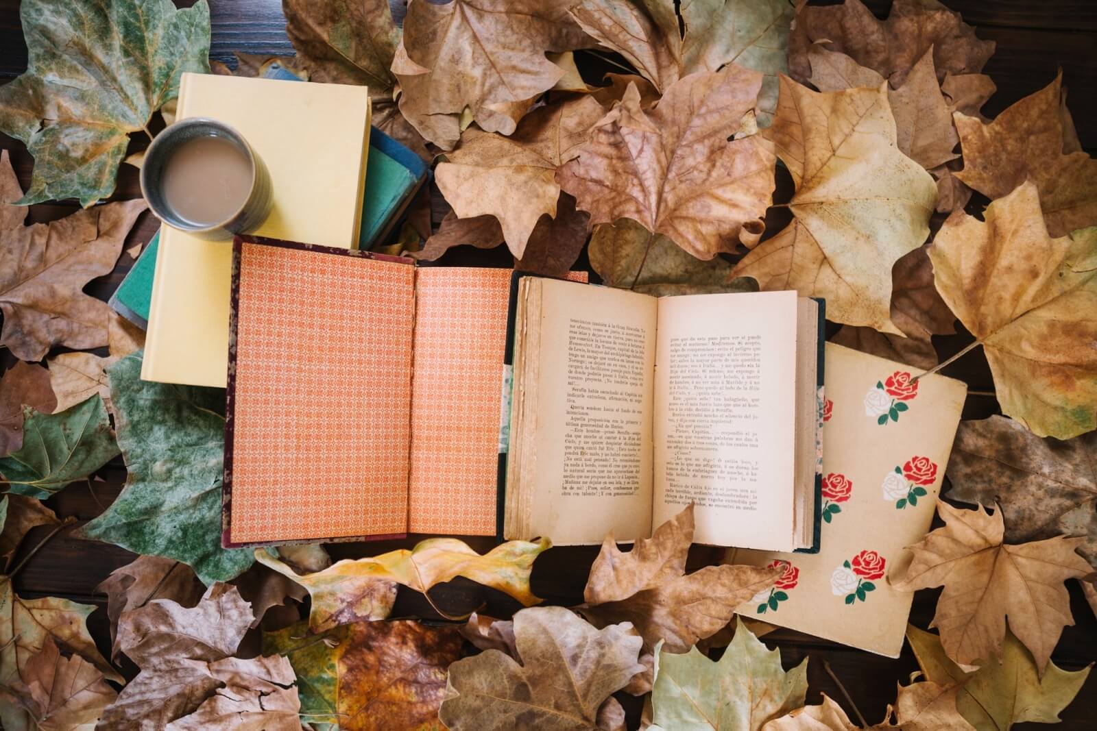 books-leaves